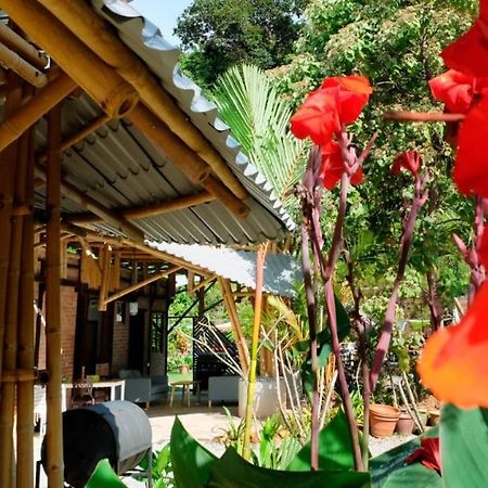 Bamboo Cottage Langkawi パンタイ・サナング エクステリア 写真