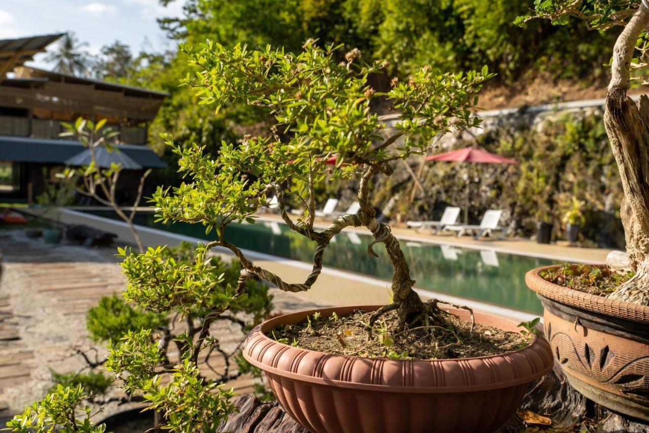 Bamboo Cottage Langkawi パンタイ・サナング エクステリア 写真