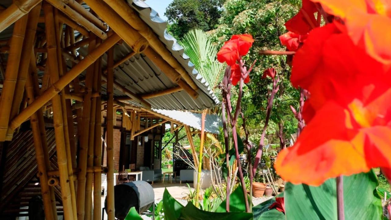 Bamboo Cottage Langkawi パンタイ・サナング エクステリア 写真